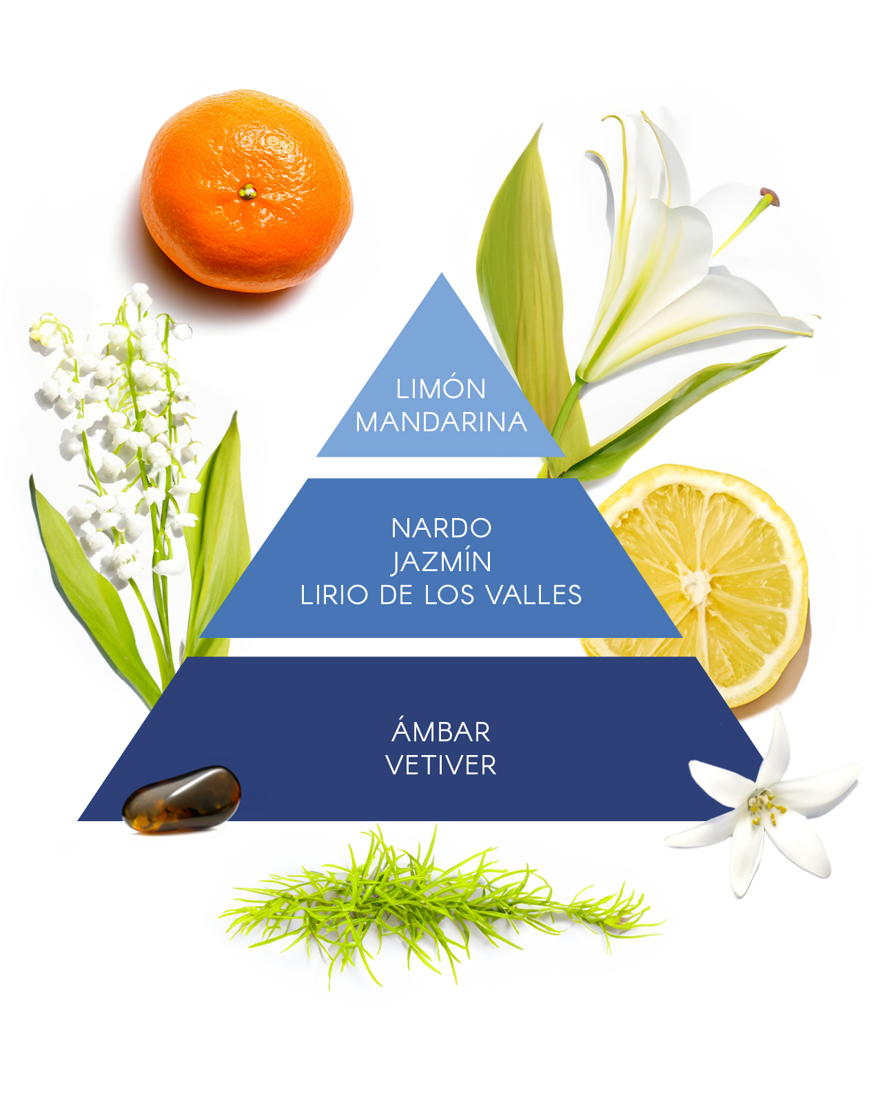 Set EDT 100ML + Flor 50ML Don Algodón Mujer